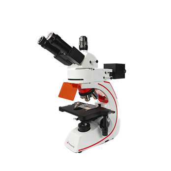 Microscópio óptico - BMC533-FLED-UVBG - Phenix Optics Co., Ltd - para pesquisa / médico-hospitalar / trinocular