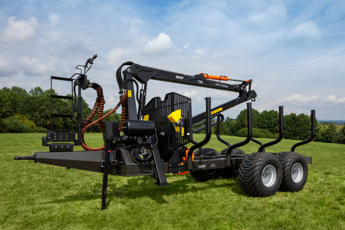 Carreta para lenha - BMF 10T2 - BMF - tandem / florestal