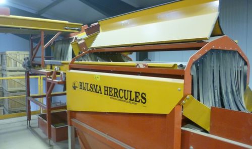 Lavadora de alimentos com escova - BBM 1710 - Bijlsma Hercules BV - para cebolas / para batatas / com esteira transportadora