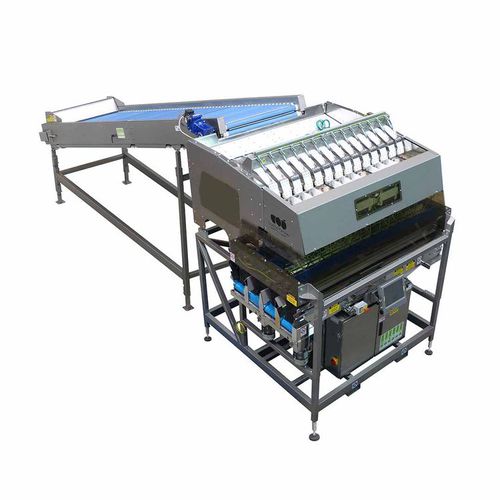 Máquina de pesagem eletrônica - W series - Sorma S.p.A. - para alho / para fruta / para tomates