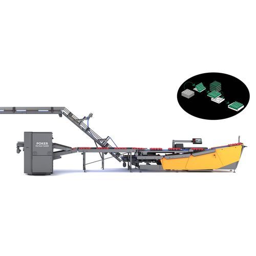 Linha de embalagem para a indústria alimentícia - Poker - FRUTMAC SRL - para produtos alimentares / de bandejas / para caixas