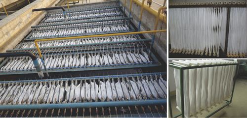 Biorreator de membrana - Hunan Along New Energy Technologies Co., Ltd. - de processo / para tratamento de águas residuais / automático