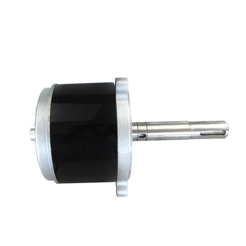 Motor com escovas - Ningbo BG Motor Factory - CC / 48 V / sob medida