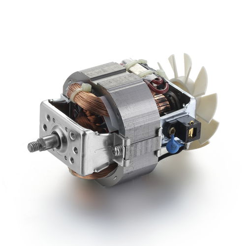 Motor assíncrono - Ningbo BG Motor Factory - monofásico / 220 V / para ferramenta elétrica portátil