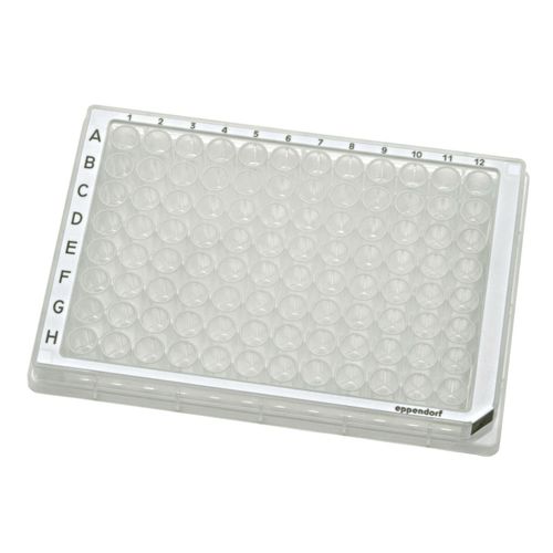 Microplaca de 384 poços - 00306 series - Eppendorf SE - de 96 poços / para amostras biológicas