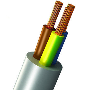 Cabo de alimentação - Shanghai Bluewin Wire & Cable Co., Ltd. - isolado / em cobre / para ambientes internos e externos