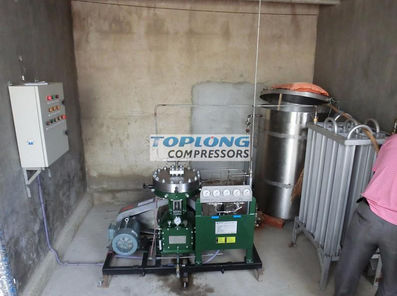Compressor de diafragma - GL1-10/4-160 - Wenling Toplong Electrical & Mechanical Company - de nitrogênio / com motor elétrico / estacionário