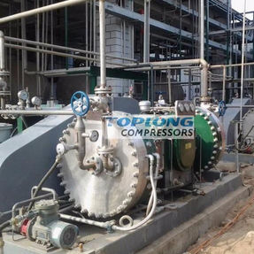 Compressor de diafragma - GZ2-5/150-700 - Wenling Toplong Electrical & Mechanical Company - de hidrogênio / com motor elétrico / estacionário