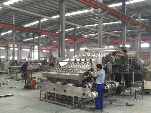 Classificadora para camarão - XSJ-12/18 - SHAOXING WALLEY FOOD MACHINERY CO., LTD.