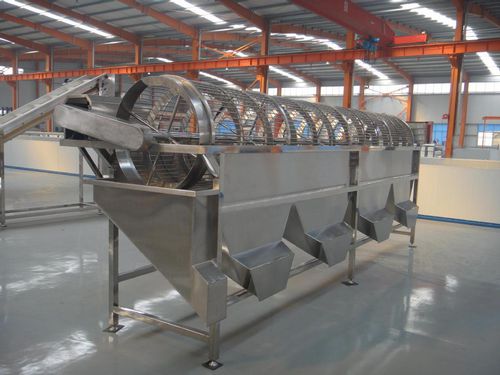 Classificadora para cogumelos - OSJ-5 - SHAOXING WALLEY FOOD MACHINERY CO., LTD. - de lichia / para longan (olho‑de‑dragão) / de taro