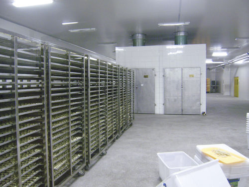 Túnel de secagem para a indústria alimentícia - HGS series - SHAOXING WALLEY FOOD MACHINERY CO., LTD.