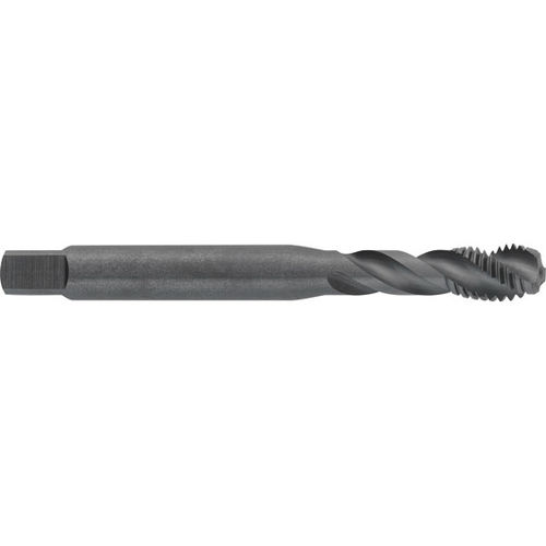 Macho para furos cegos - M536 - Carmon - HSS/HSCO / para latão