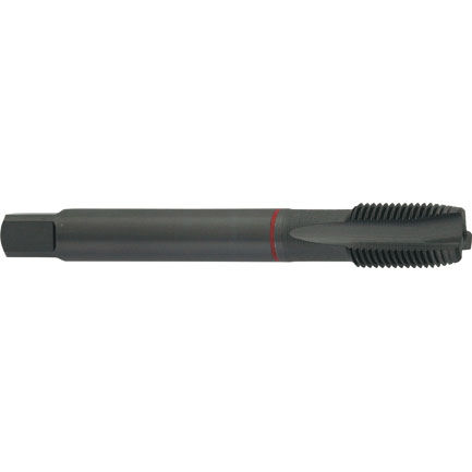 Macho para furos passantes - G550 - Carmon - para furos cegos / HSS/HSCO / para aço