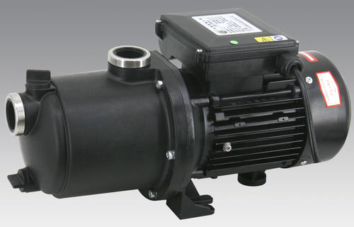 Bomba de rotor - DBM series - Guangdong LingXiao Pump Industry Co., Ltd. - de água / com motor elétrico / autoescorvante