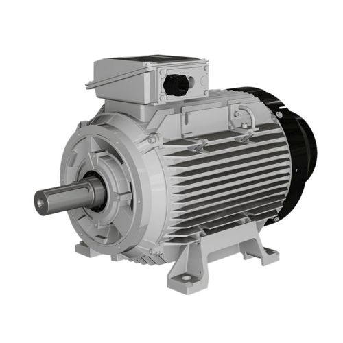 Motor assíncrono - W series - Wolong Electric Group - com carcaça em ferro / IP55 / IP65
