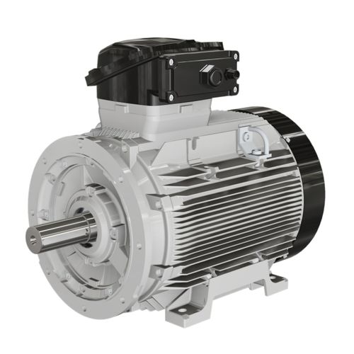 Motor resistente às chamas - W-EF series - Wolong Electric Group - assíncrono / com carcaça em ferro / IP55