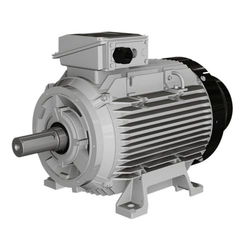 Motor assíncrono - W, WP series - Wolong Electric Group - trifásico / com carcaça em ferro / IP55