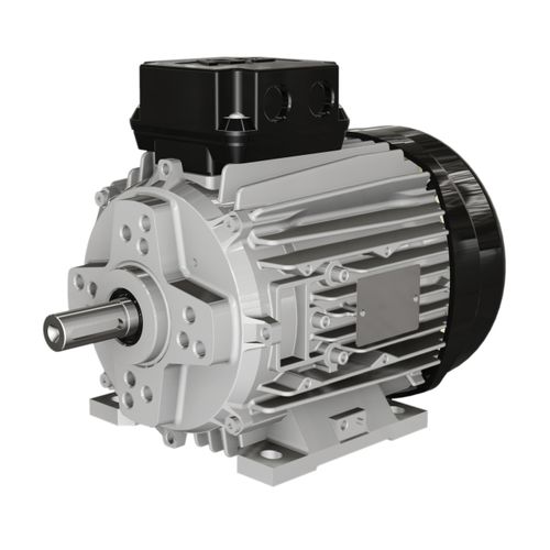 Motor síncrono - M series - Wolong Electric Group - trifásico / 400 V / de ímãs permanentes