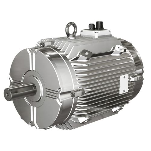 Motor controlado por inversor de frequência - W FUMEX® series  - Wolong Electric Group - assíncrono / trifásico / com carcaça em ferro