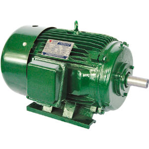 Motor NEMA - Jiang Su Weiteli Motor Co.,Ltd - assíncrono / controlado por inversor de frequência