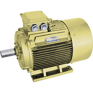 Motor de alto rendimento - YE series - Jiang Su Weiteli Motor Co.,Ltd - síncrono / 380 V / IP54