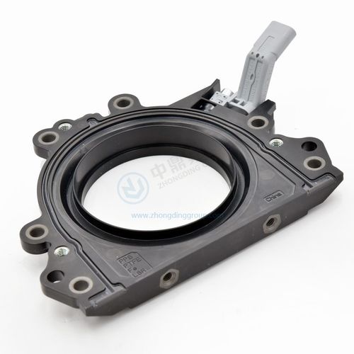 Vedação com lábio - ANHUI ZHONGDING SEALING PARTS CO.,LTD - em material plástico / em PTFE / circular