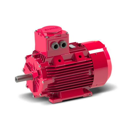 Motor à prova de explosão - GG1Exd 90 L 6b - Gamak Makine Sanayi A.Ş. - assíncrono / trifásico / 400 V