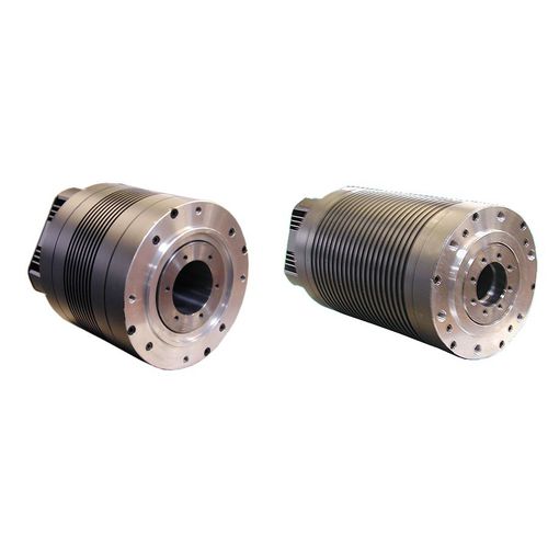 Motor de torque CA - BRL series - ACM engineering - trifásico / trifásico / de eixo vazado