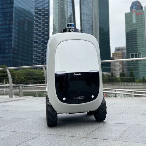 Robô de entrega para encomendas - Camello - Otsaw Digital - para ambientes externos / com rodas / autônomo