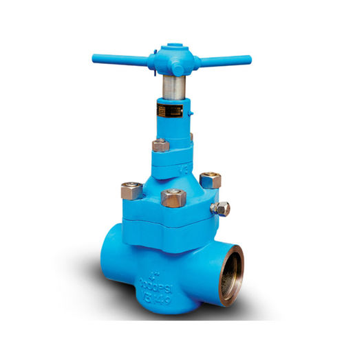 Válvula de gaveta - Jiangsu Deenpu Petrochemical Machinery Co.,Ltd - manual / para óleo / para gás