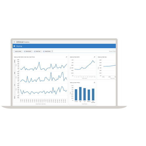 Software de análise - Analytics - Oracle - de interface / de visualização / de criação de laudos