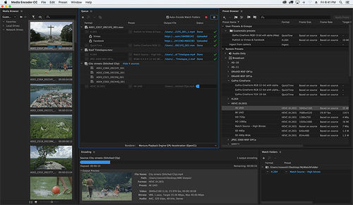 Software de criação - Media Encoder - ADOBE - de gestão / de publicação / em nuvem