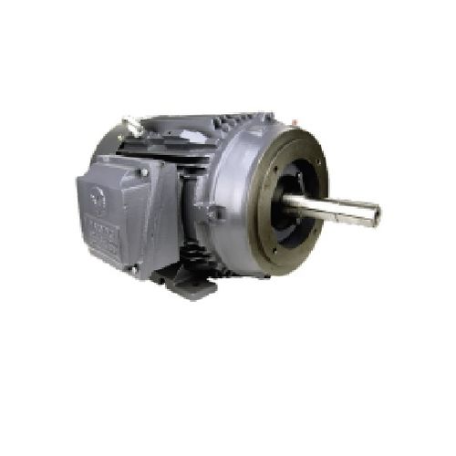 Motor de indução - GR3-AL-TF Series - Techtop - CA / 380 V / em aço inoxidável