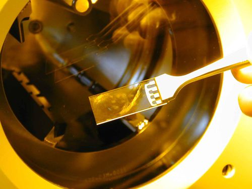 Componente ótico segundo especificação - ioNext - TEEM PHOTONICS - de interface