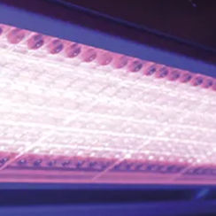 Secador UV - LED Powerline Focus - Panacol-Elosol - para máquina de impressão / para processo de cura / compacto