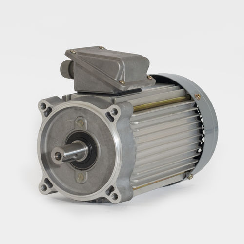 Motor de indução - Chuan-Fan Electric - trifásico / 220 V / 380 V