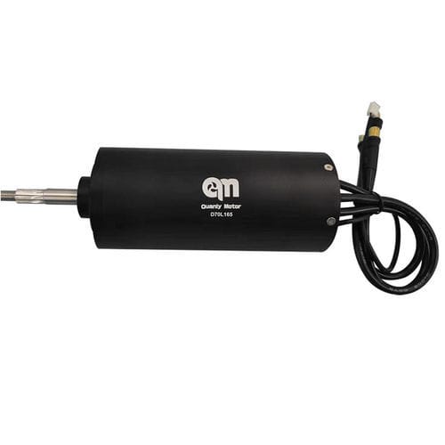 Motor à prova de água - D70L165-WP - Dongguan Tengfei Power Technology Co., Ltd. - sem escovas / CC / 160 V
