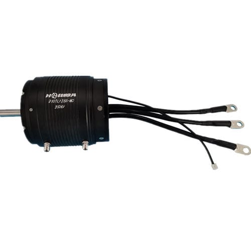 Motor sem escovas - D107L125-WC - Dongguan Tengfei Power Technology Co., Ltd. - CC / 20 V / 80 V