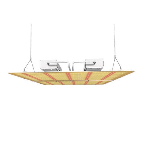Iluminação de teto -  PG02 - Hishine Group Limited - de LED / para estufa