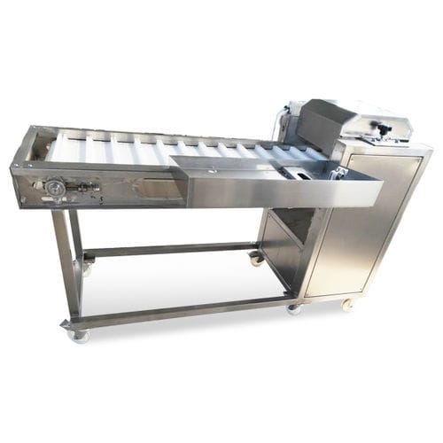 Fatiador para pescado - Bokang Machinery - automático / em aço inoxidável / de piso