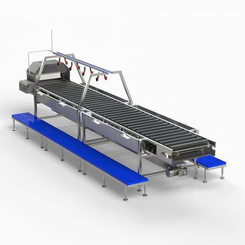 Descabeçadora para pescado - HIDRONER AQUACULTUR EQUIPMENTS