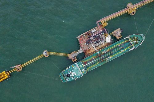 Gerador de nitrogênio inerte - NITROBERG&reg; - BERG Kompressoren GmbH - para aplicações de alta pureza / ultrapuro / de alta concentração
