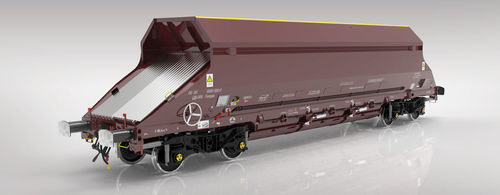 Transportadora com rodas - Fanpps - Greenbrier Europe - basculante