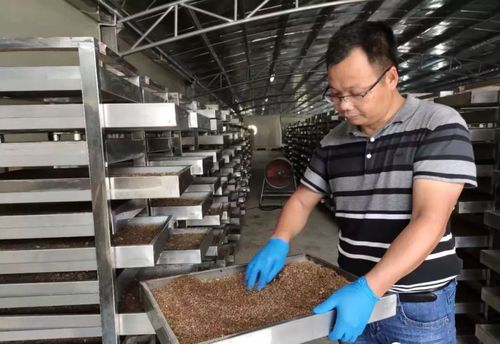 Estação de tratamento de resíduos para produtos alimentares - SENBO FLUID CO., LTD. - orgânica / domésticos / resíduo biológico