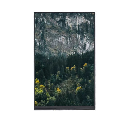 Módulo de visualização TFT LCD - YX09020542416BB - Shenzhen Yousee Technology Co., Ltd. - em cores / 1024 x 600 / 9"