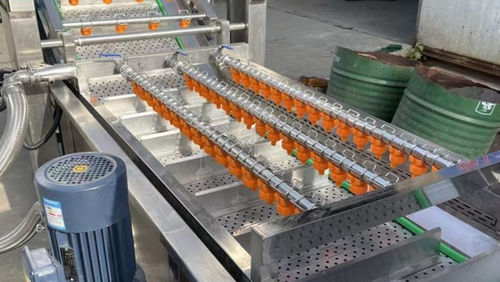 Lavadora para verduras e legumes - Henan Hongtu Machinery Manufacturing Co., Ltd. - para fruta / para espinafres / para morangos