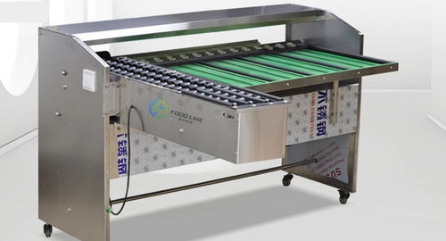 Classificadora para ovos - FL-G series - Henan Hongtu Machinery Manufacturing Co., Ltd. - óptica / mecânica / de rolos