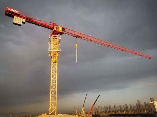 Guindaste fixo - SFT100(T6013-8) - SANY - de torre topless / para obras / de elevação