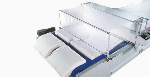 Transportador pneumático a vácuo - EasiHold™ - Eastman Machine Company