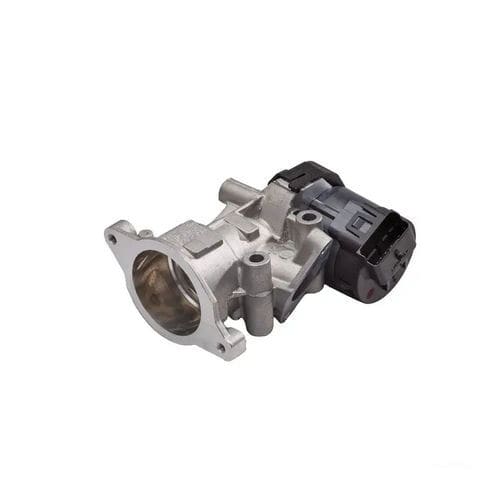 Válvula EGR - EGR - Delphi Power Train - de pistão / com atuador elétrico / de controle de vazão